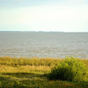 Coastal lawn  screen for extension Chrome web store in OffiDocs Chromium