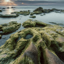 Coastal Serenity  screen for extension Chrome web store in OffiDocs Chromium