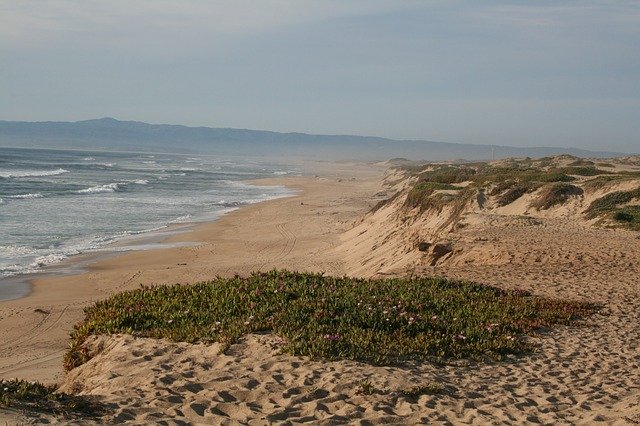 Téléchargement gratuit de Coast Beach Sand - photo ou image gratuite à modifier avec l'éditeur d'images en ligne GIMP