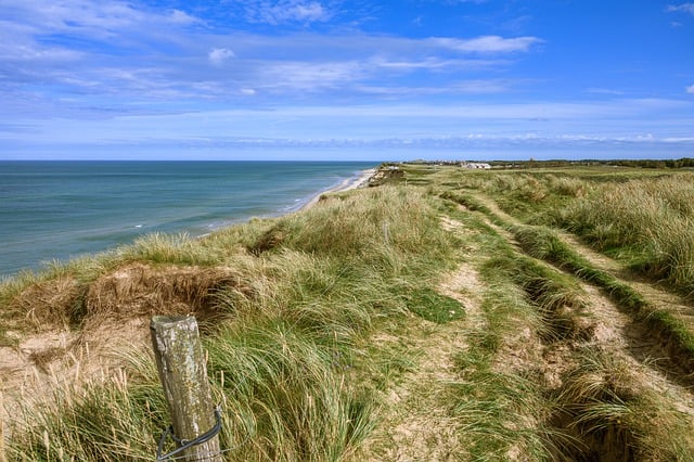 Free download coast meadow sea north sea beach free picture to be edited with GIMP free online image editor