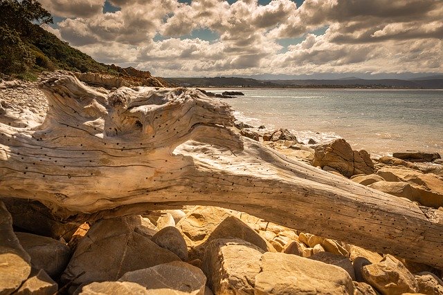 Gratis download Coast Sea Beach - gratis foto of afbeelding om te bewerken met GIMP online afbeeldingseditor