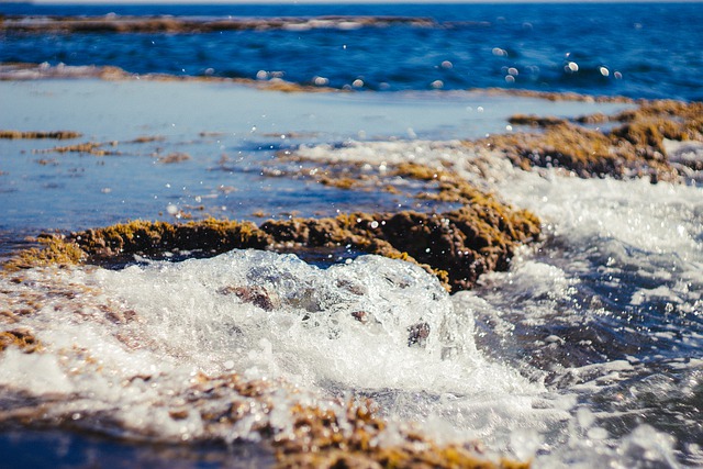 Free download coast sea wave water storm turkey free picture to be edited with GIMP free online image editor