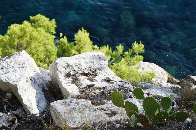 Téléchargement gratuit de Coast Stones Rocks - photo ou image gratuite à éditer avec l'éditeur d'images en ligne GIMP