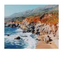 Free download Coast ( Unknown, 2018 ) free photo or picture to be edited with GIMP online image editor