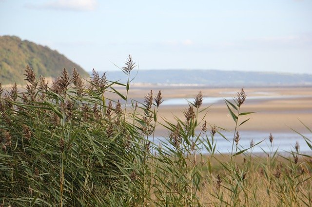 Unduh gratis Coast Wales Sea - foto atau gambar gratis untuk diedit dengan editor gambar online GIMP