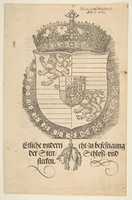 Free download Coat of Arms of Ferdinand I free photo or picture to be edited with GIMP online image editor