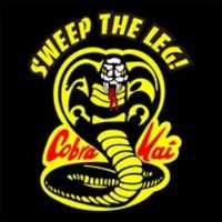 Free download cobrakai free photo or picture to be edited with GIMP online image editor