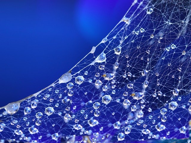 Template Photo Cobwebs Waterdrops Blue -  for OffiDocs