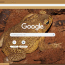 Coc  screen for extension Chrome web store in OffiDocs Chromium