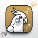 Cockatiel Mutation Calculator By ChartFarosh  screen for extension Chrome web store in OffiDocs Chromium