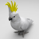 Cockatoo 3D  screen for extension Chrome web store in OffiDocs Chromium