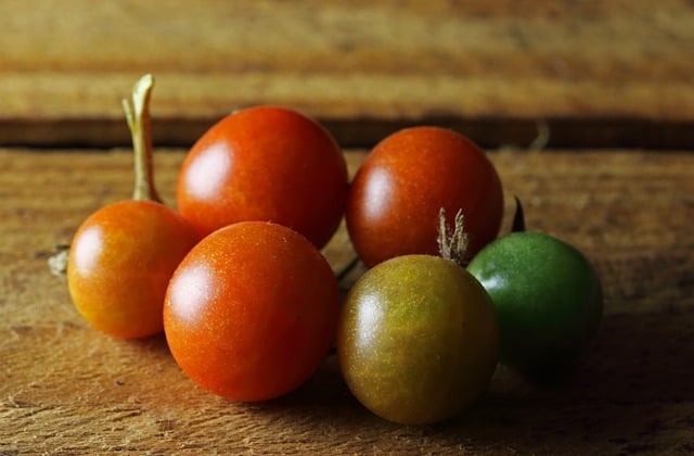 Free download cocktail tomatoes cherry tomatoes free picture to be edited with GIMP free online image editor