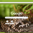 Coc nui  screen for extension Chrome web store in OffiDocs Chromium