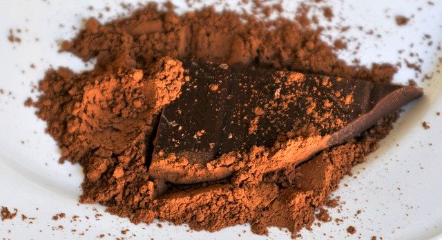 Muat turun percuma Cocoa Chocolate Delicious - foto atau gambar percuma untuk diedit dengan editor imej dalam talian GIMP