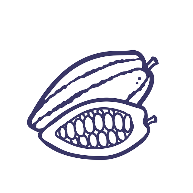 Free download Cocoa Kakaowiec Seed -  free illustration to be edited with GIMP free online image editor