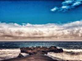 Free download Cocodrilo luminoso. free photo or picture to be edited with GIMP online image editor