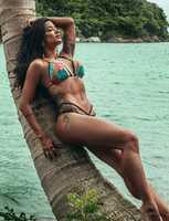 Free download coconut free photo or picture to be edited with GIMP online image editor