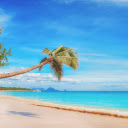 Coconut leaned forward  screen for extension Chrome web store in OffiDocs Chromium