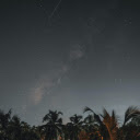 Coconut row at night  screen for extension Chrome web store in OffiDocs Chromium