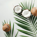 coconut skull and coconut leaves  screen for extension Chrome web store in OffiDocs Chromium