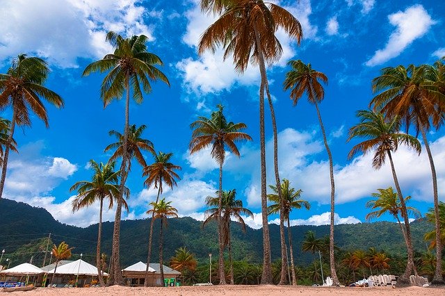 ດາວໂຫຼດ Coconut Tree Clouds ຟຣີ - ຮູບພາບ ຫຼືຮູບພາບທີ່ບໍ່ເສຍຄ່າເພື່ອແກ້ໄຂດ້ວຍຕົວແກ້ໄຂຮູບພາບອອນໄລນ໌ GIMP