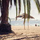 coconut trees and beach  screen for extension Chrome web store in OffiDocs Chromium