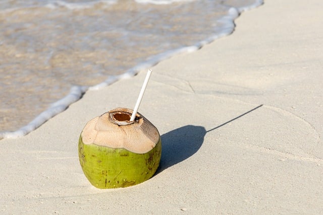 Free download coconut vacations wave beach free picture to be edited with GIMP free online image editor