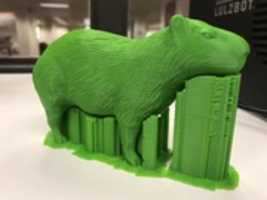 Free download codytaylor_capybara free photo or picture to be edited with GIMP online image editor