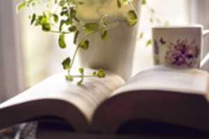 Free download coffee_book_plant free photo or picture to be edited with GIMP online image editor