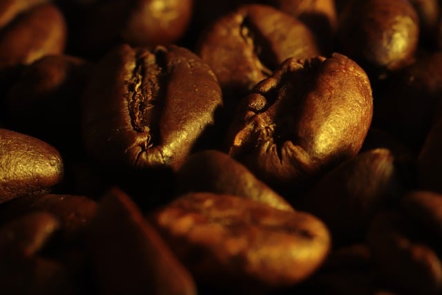 Free download coffee coffee beans free picture to be edited with GIMP free online image editor