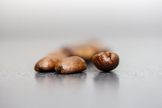 免费下载咖啡 咖啡豆 咖啡因豆 免费图片可使用 GIMP 免费在线图像编辑器进行编辑