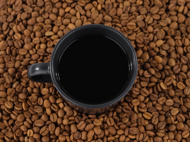 Baixe gratuitamente a imagem crua de sementes de cafeína de xícara de café para ser editada com o editor de imagens on-line gratuito do GIMP