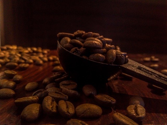 تنزيل Coffee Kopi Roasted مجانًا - صورة مجانية أو صورة مجانية ليتم تحريرها باستخدام محرر الصور عبر الإنترنت GIMP