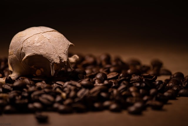 Free download coffee skull roasted artistic wood free picture to be edited with GIMP free online image editor