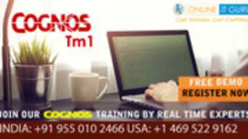 Free download Cognos Tm 1 free photo or picture to be edited with GIMP online image editor
