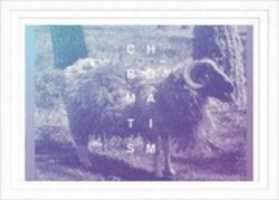 Free download cohoba free photo or picture to be edited with GIMP online image editor