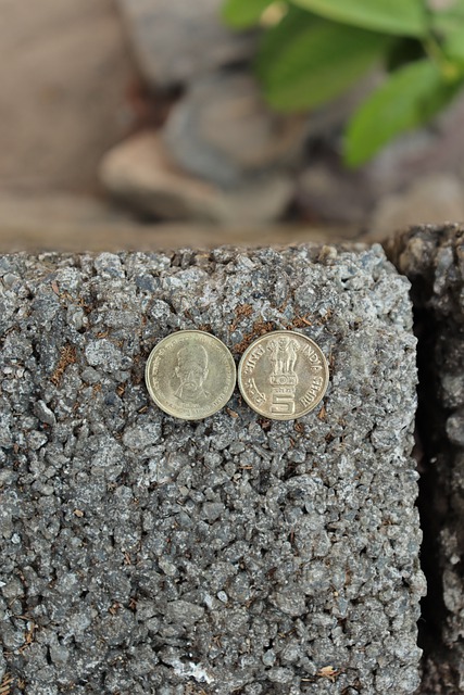 Free download coin money finance banking india free picture to be edited with GIMP free online image editor