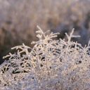 cold factory Theme  screen for extension Chrome web store in OffiDocs Chromium