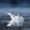 Cold Theme  screen for extension Chrome web store in OffiDocs Chromium
