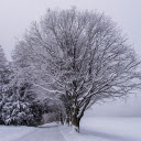 Cold winter  screen for extension Chrome web store in OffiDocs Chromium