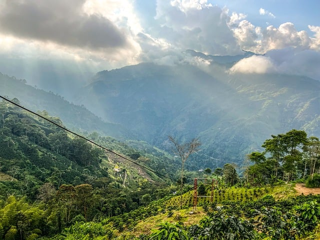 Free download colombia mountains trees sky free picture to be edited with GIMP free online image editor