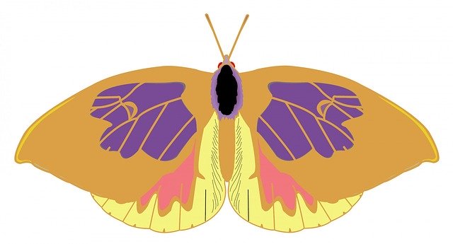 Free download Color Cartoon White -  free illustration to be edited with GIMP free online image editor