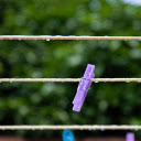 Colored Clothespins  screen for extension Chrome web store in OffiDocs Chromium