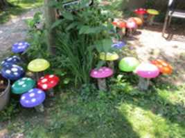 Free download Colored Mushrooms at the Fantastic Umbrella Factory free photo or picture to be edited with GIMP online image editor