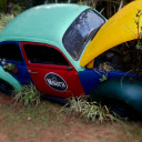 Colorful Beetle Garden Art  screen for extension Chrome web store in OffiDocs Chromium