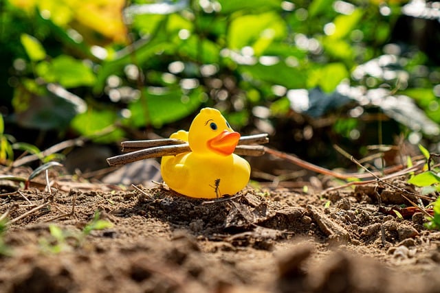 Free download colorful duck duck cartoon garden free picture to be edited with GIMP free online image editor