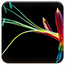 Colorful Flower  screen for extension Chrome web store in OffiDocs Chromium