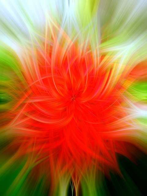 Descarga gratuita Colorful Flower Bloom - foto o imagen gratuita para editar con el editor de imágenes en línea GIMP