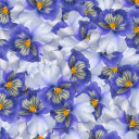 Colorful flowers  screen for extension Chrome web store in OffiDocs Chromium