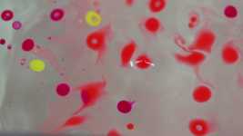 Free download Colorful Oil Blow -  free video to be edited with OpenShot online video editor